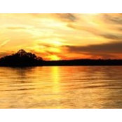 Janet Hurd's photo