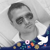 Dima Gutmanさんの写真