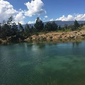 Photo de Diana Quintero
