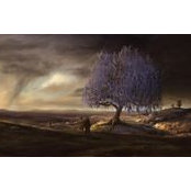 Anthony Warren's photo