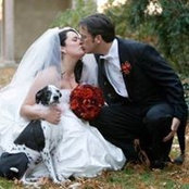 Amy Harrington's photo