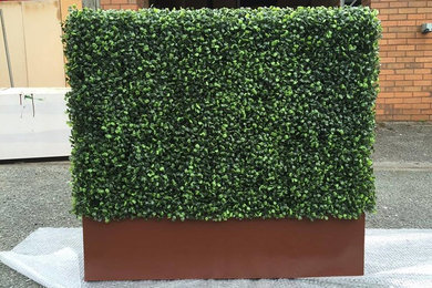 Bespoke Boxwood Trough from Hedged In