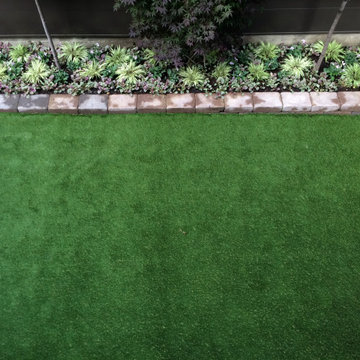 Urban Landscape & City Living