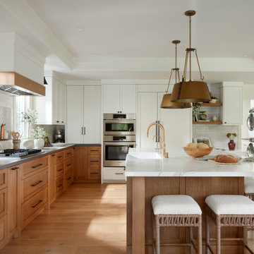 Rooted and Refined in Willow Glen