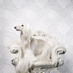 Prime Walls - Wallpaper - Products