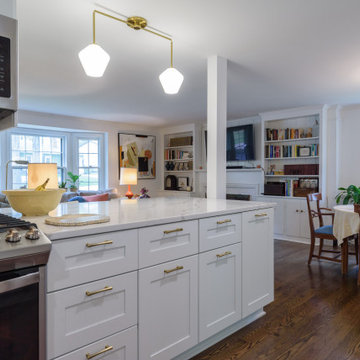 Whole House Remodel
