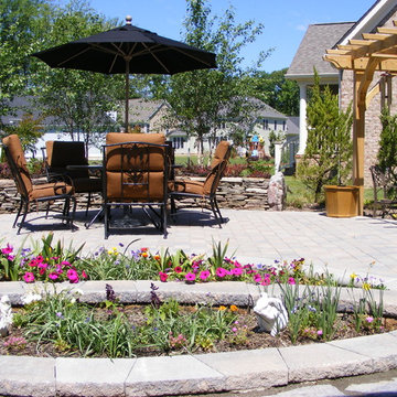 New Home, Backyard from scratch