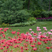 Landscape Ideas