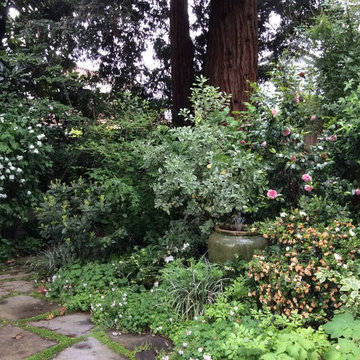 Menlo Park Contemporary Garden