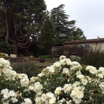 Sebastopol Retreat