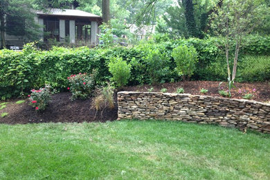 Design ideas for a contemporary backyard landscaping in DC Metro.