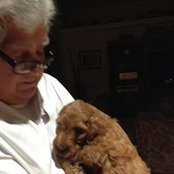 Anthony D'Elia's photo