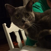 Kristi Westergaard's photo