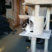 Barbara Morgenstern's photo