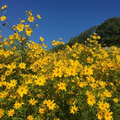 Debbie Geisler's photo