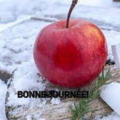 Joane Saucier's photo