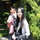 Xiaojun F