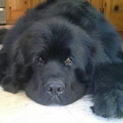 Sandra Meland's photo