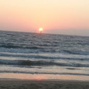 Foto von Shushma Reddy