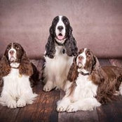 Petra Neumueller's photo