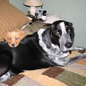 Todd Dery's photo
