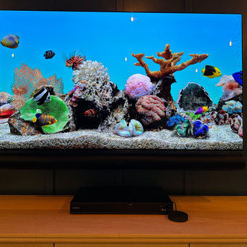TV hangs