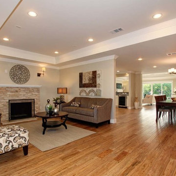 Contemporary Den
