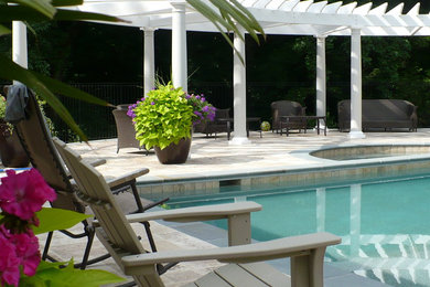 Inspiration for a contemporary full sun landscaping in Baltimore for summer.