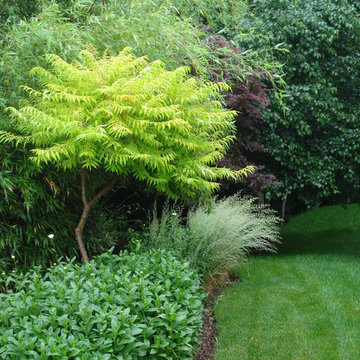 Color from foliage