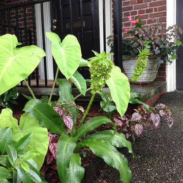 container gardens