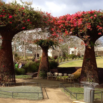 photos from the Getty Museum in 2014