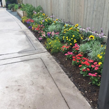 Gardens & Garden Paths
