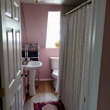 Emergency Mold Mitigation Rainbow House Repaint