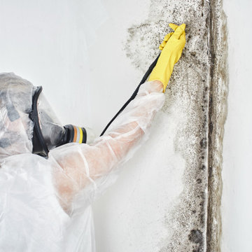 Mold Restoration Arlington Heights