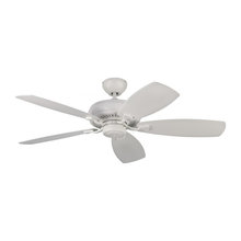 Ceiling Fans