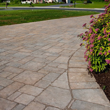 Hollander Project