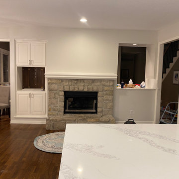Kitchen Remodel