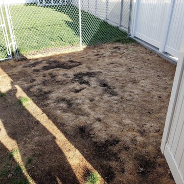 Synthetic Artificial Turf Grass Dog Yard Transform Medicine Hat 2020