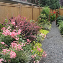 Landscaping - Plants