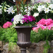 Landscape Ideas