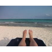 Barb Toof's photo
