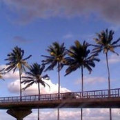 Faaizah Dadá's photo