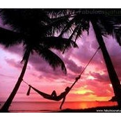 Elia Cruz's photo