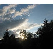 Suzanne Dube's photo