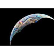 Mike Johnson's photo