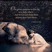 Virginie Cavallaro's photo
