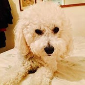 Lisa Neilsen's photo