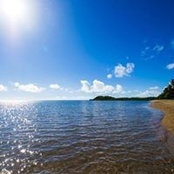 Patti McLaughlin's photo
