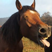 Anne Kennedy's photo