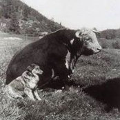 Joanna Wilson's photo